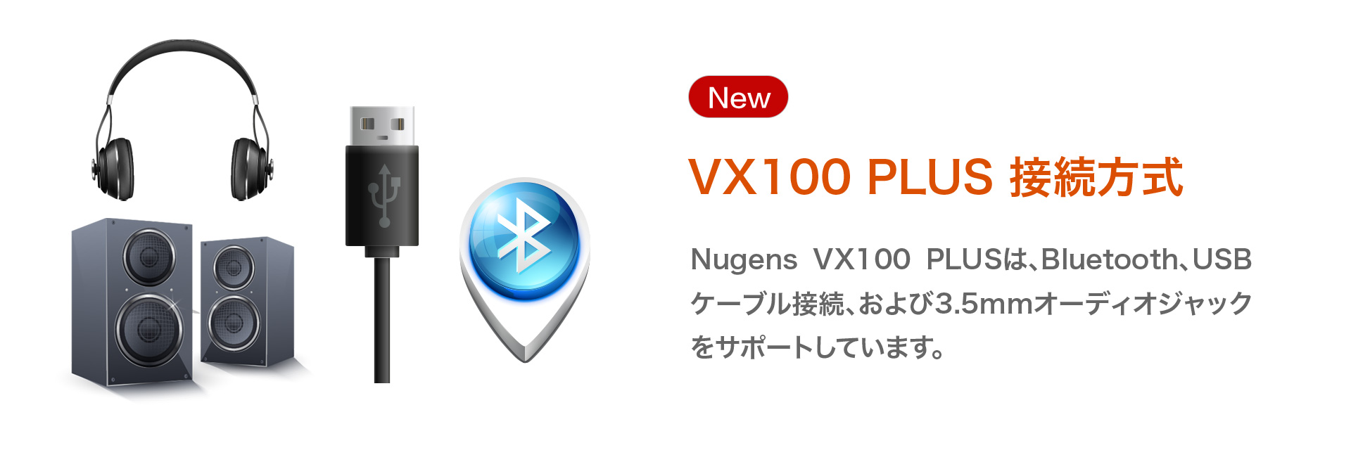VX100 PLUS 接続方式